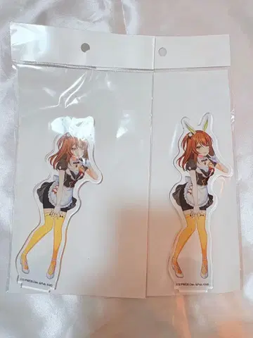 월드 다이스 메스 유메스테 게마 복권