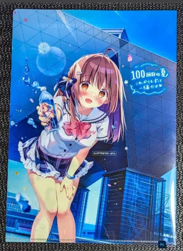 A4 클리어 파일 C100 (도쿄 빅사이트 기념품)