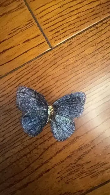 청보라색 나비 브로치