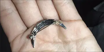 초승달 모양 브로치 블랙 컬러 실버