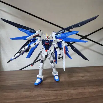 HG 프리덤 건담 SEED 완성품