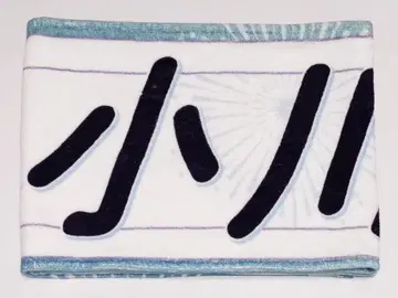 오가와 아야 머플러 타월 한여름의 전국 투어 2024 도쿄