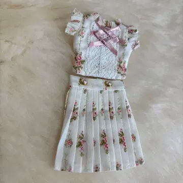 브라이스, 인기 작가님 아웃핏, 거의 미사용