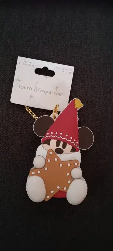 릴린린 백참 케이스 포함 디즈니 크리스마스 2025