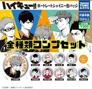 [ 미개봉 새상품 ] 하이큐 포트레이트 샤이니 캔뱃지 전 10종 세트