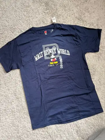 Hanes 디즈니 월드 티셔츠