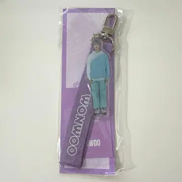 SEVENTEEN 원우 WONWOO 아크릴 키링 keyring