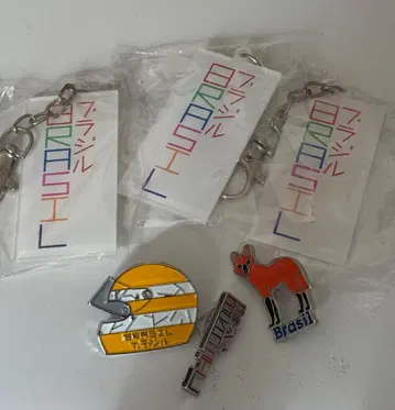 브라질관 핀 배지