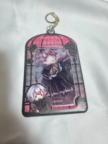 아쿠네코전 아몬 카드 케이스 세트 악마 집사와 검은 고양이