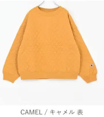 챔피온 퀼팅 맨투맨