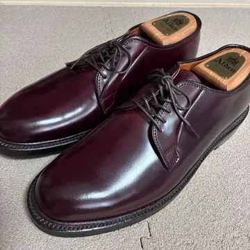 Alden 알든 신발