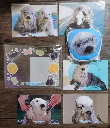 캡슐 복권 랏코의 메이짱 복권 손 모양 포함 사진 프레임 에코백 키라