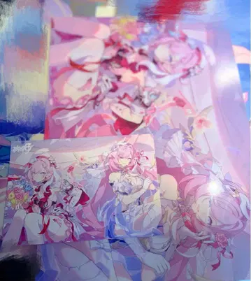 PASH! 12월호 붕괴3rd 엘리시아