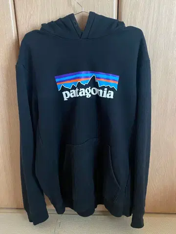 파타고니아 후드티 블랙
