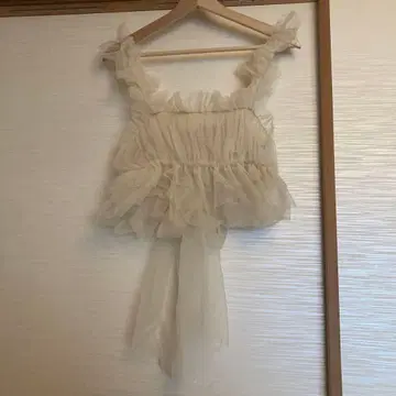 스나이델 튤 뷔스티에