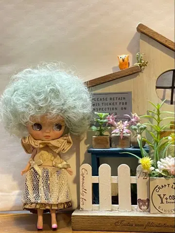 미니 브라이스 티베트 양모 가발 커스터마이즈 완료