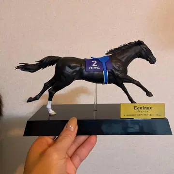 Equinox 경주마 피규어