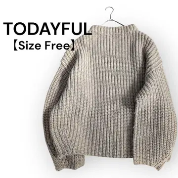 TODAYFUL 투데이풀 니트 볼륨 소매 베이지 프리