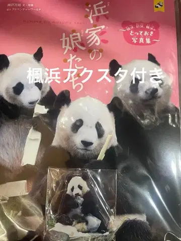 어드벤처 월드 한정판 후우힌 아크릴 스탠드 포함 하마가 네 딸들