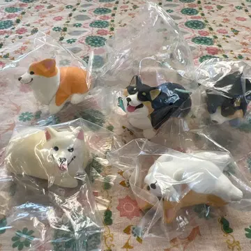 코기 가챠, 코기산포 5체 세트 코기