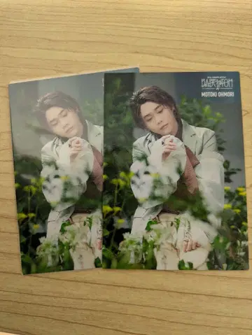 미세스 바벨탑 포토 카드 오오모리 모토키 008 플로리날 2장