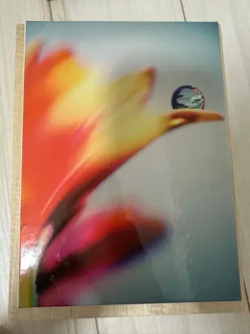 sads FALLING 회장 한정판 CD+DVD