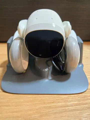 loona 로봇 반려동물