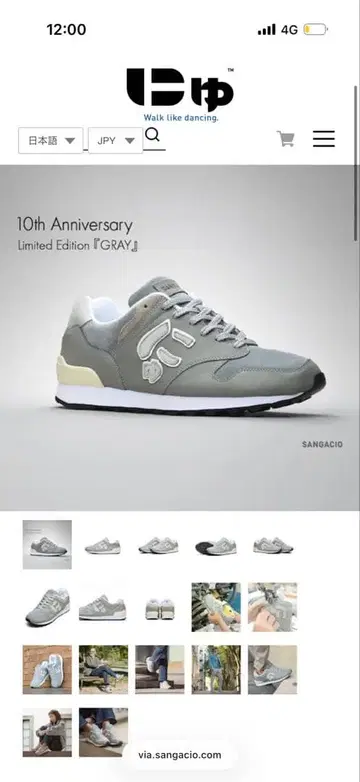 10th Anniversary Limited Edition 그레이