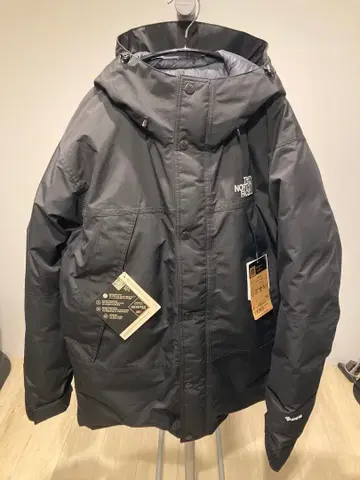 the north face mountain down jacket