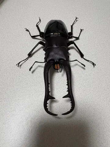 반다이 생물 대도감 어드밴스 파사슴벌레