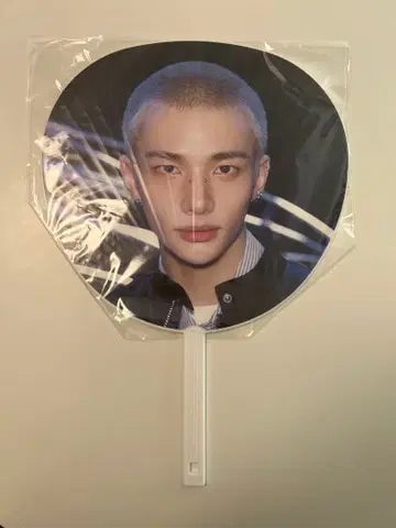 straykids 스키즈 Hyunjin 부채 부채 케이스 포함