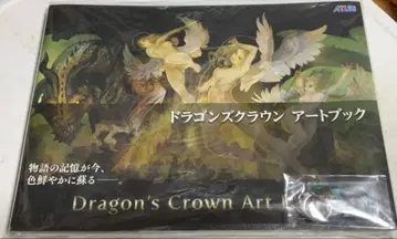 드래곤즈 크라운 아트북
