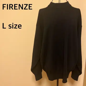 [ FIRENZE ] 하이넥/니트/상의/블랙/블랙/긴팔/심플