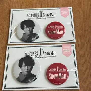 미야타테 료타 캔뱃지 2개 세트