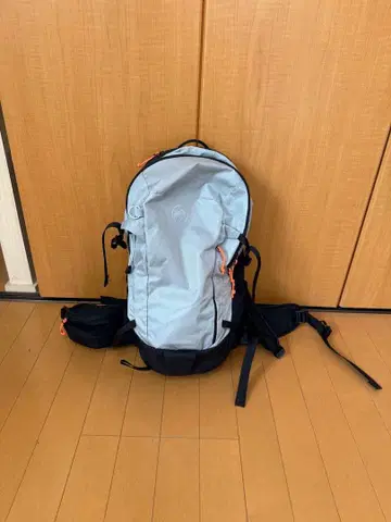 MAMMUT 마무트 LTHM20 리튬20 백팩 화이트