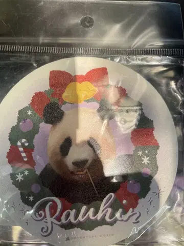 린 크리스마스 팬더 코스터 어드벤처 월드 팬더