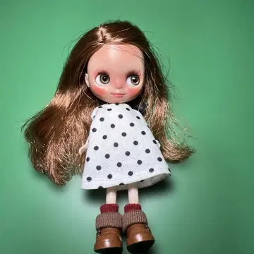 남성 작가님 미니 브라이스 커스텀 인형