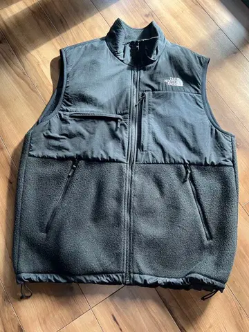 THE NORTH FACE 데날리 베스트