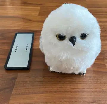 헤드윅 USJ 어깨 탑승 기믹