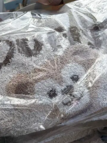 더피 젤라피케 룸웨어