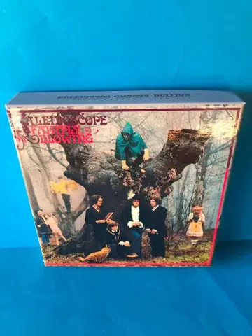 KALEIDOSCOPE 카레이도스코프 데스크 유니온 특전 BOX 새상품급