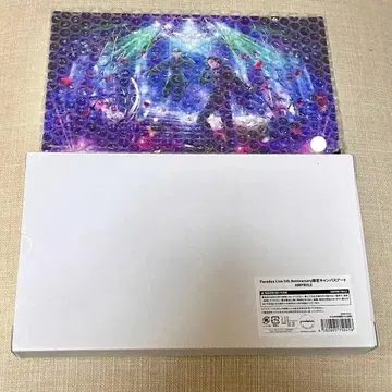 파라라이 5주년 캔버스 아트 AMPRULE