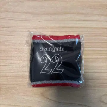 Stray Kids 승민 domin ATE 리스트 밴드 스키즈