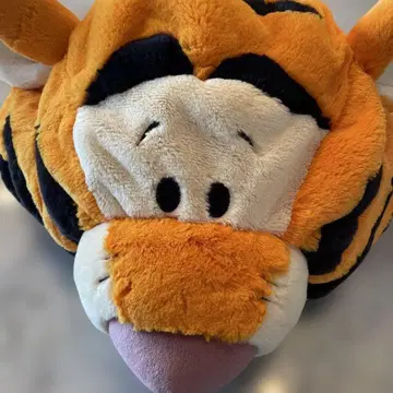 디즈니랜드 티거 팬캡