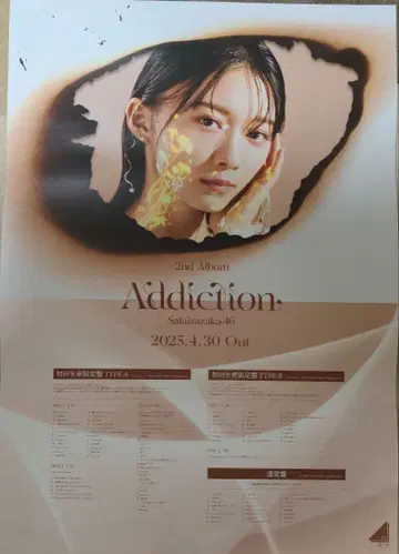 사쿠라자카 포스터 앨범