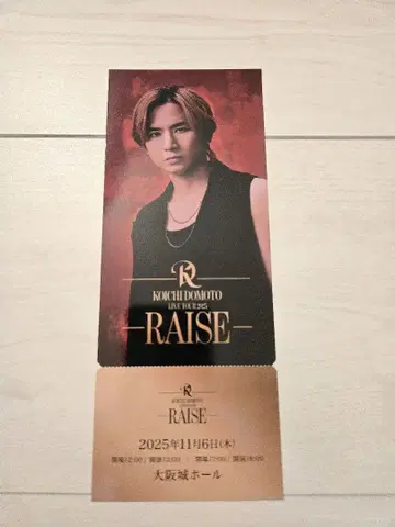 도모토 코이치 RAISE 메모리얼 티켓 오사카 성 홀