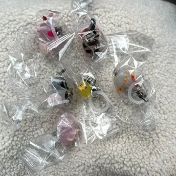 목장 이야기 메지루시 액세서리 컴플리트