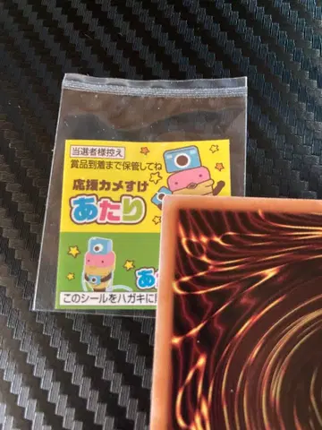 카메라 응원 씰 카메스케