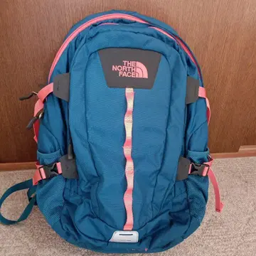 THE NORTH FACE 백팩 파랑과 핑크