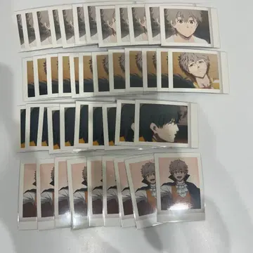 windbreaker 윈브레 파샤코레 토토미야 쵸지 토가메바라